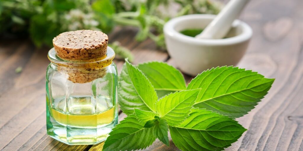 bellezaenverde - ¿Cuáles son los mejores aceites esenciales para el crecimiento del cabello?